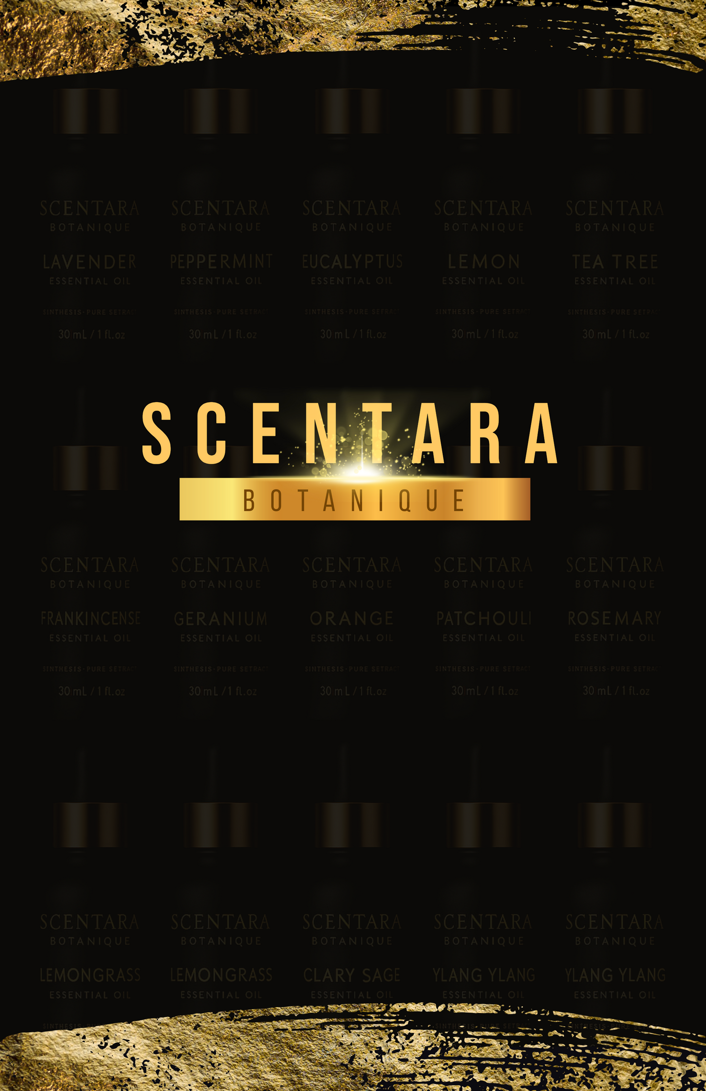 Coming Soon!