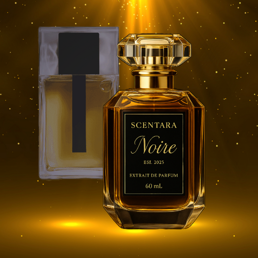 Scentara Noire – L’Homme Absolu Extrait de Parfum | 60ml A modern tribute to the refined sensuality of Dior Homme | 100% Oil-Based | Highest Quality | Long-Lasting Wear