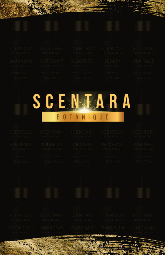 Coming Soon!